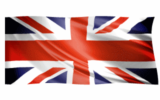 UK Visa Online_200314111656.gif